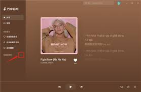 汽水音乐电脑版安装后打不开怎么办